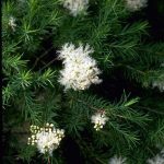 Ubezpieczenie zdrowotne – ile kosztuje, jak sprawdzić, gdzie wykupić?